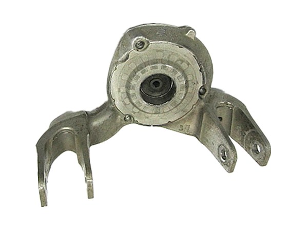 Strut Mounting 25700259