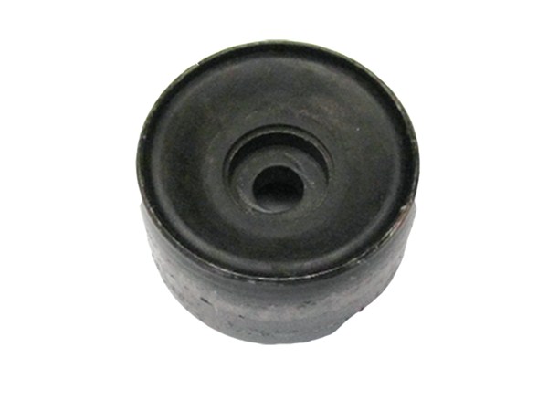 Strut Mount Bushing 22246113