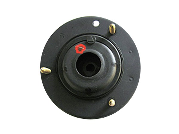 Strut Mount 48750-22031
