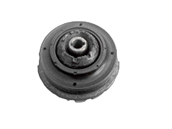 Strut Mount 20962823