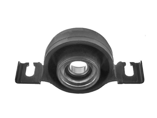 Center Bearing SA02-25-310