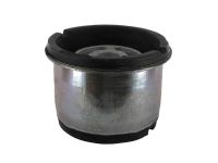 Hub Carrier Bush 24401110