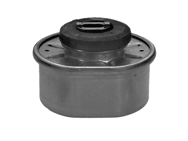 Engine Mount 701 199 201G