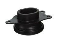 Engine Mount 11253-JA000