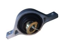 Center Bearing 49300-2P100