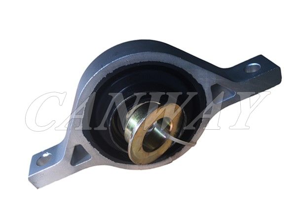 Center Bearing 49300-2P100