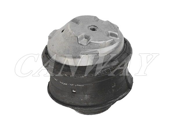 Engine Mount Hydraulic 202 240 21 17