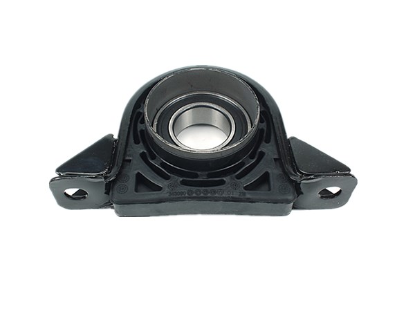 Center Bearing 42535254