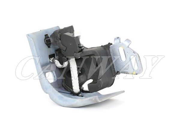Engine Mount  8200310006