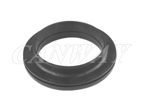 Friction Bearing 543251867R