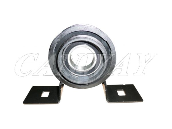 Center Bearing 375252191R