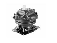 Engine Mount 50830-SZA-A01
