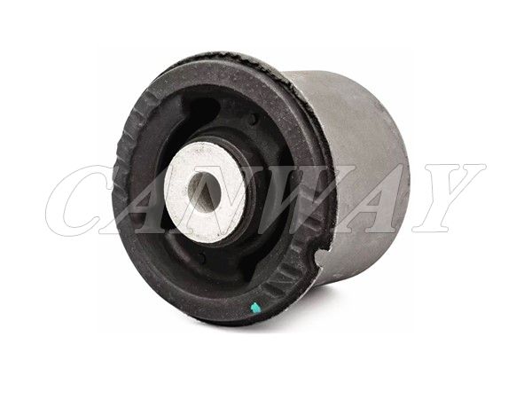 Control Arm Bush 55160-B2000