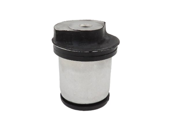Control  Arm Bush 5402638