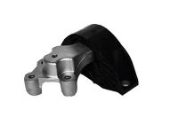 Engine Mount 112106541R