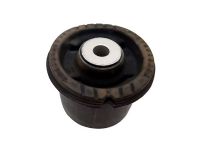 Control Arm Bush 55160-1R000