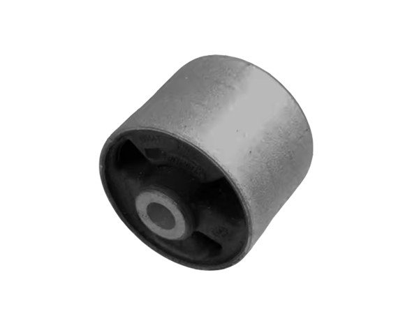 Control Arm Bush RGX500201