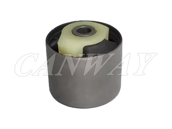 Control Arm Bush RGX500300
