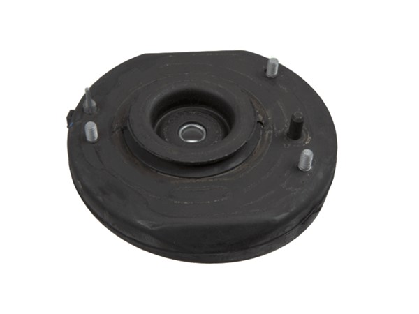Strut Mount 6025305980