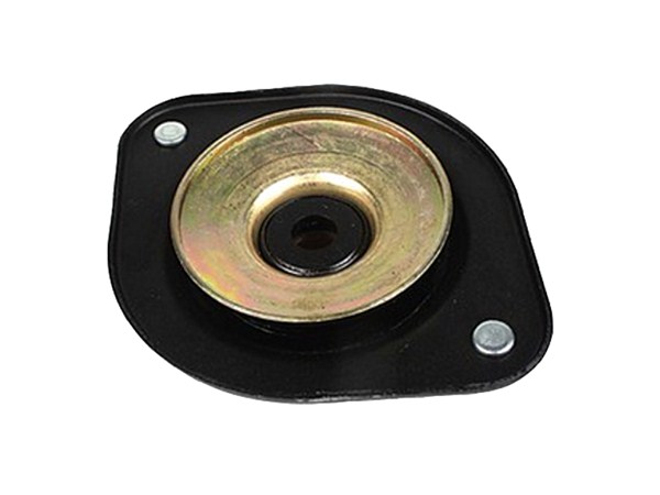 Strut Mount 171 412 329