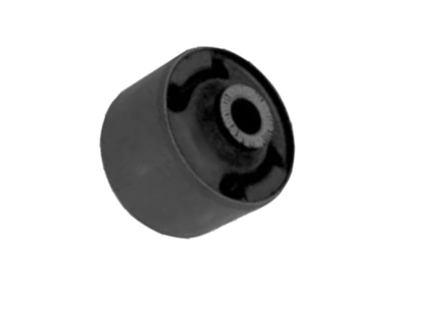 Control Arm Bush 55541-28310