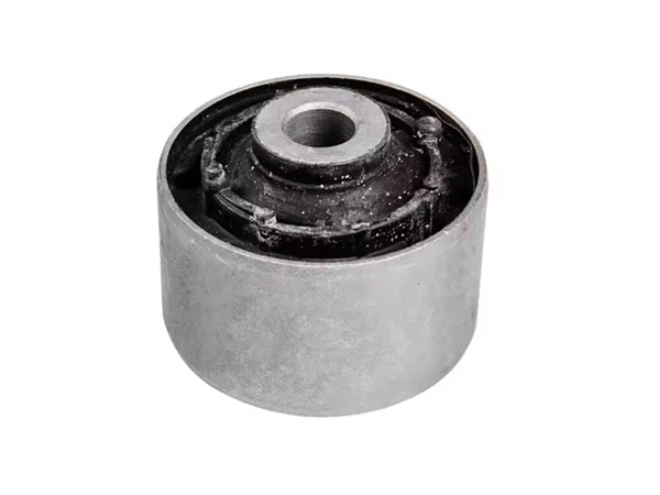 Control Arm Bush 55045-JG000