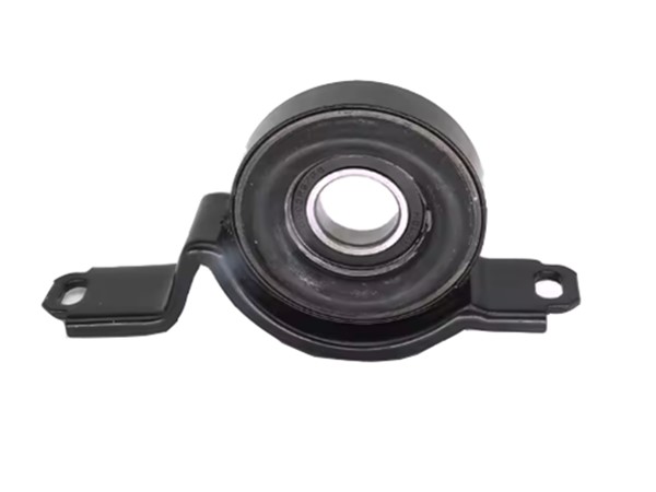 Center Bearing 22810753