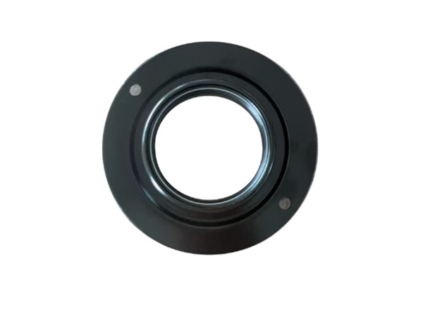 Friction Bearing 906987