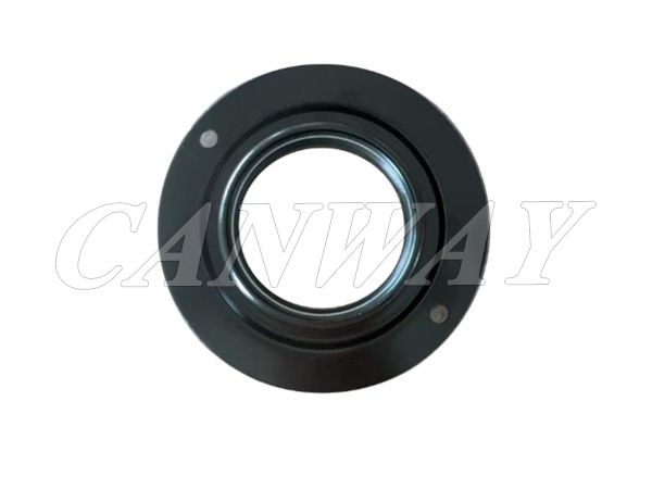Friction Bearing 906987