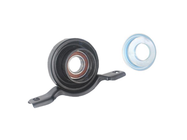 Center Bearing 22819507