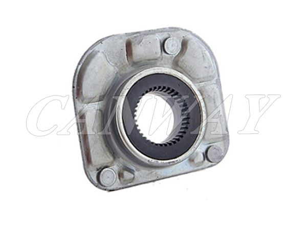 Strut Mount 31200599