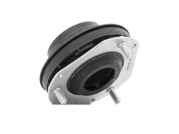 Strut Mount Kit 1514857