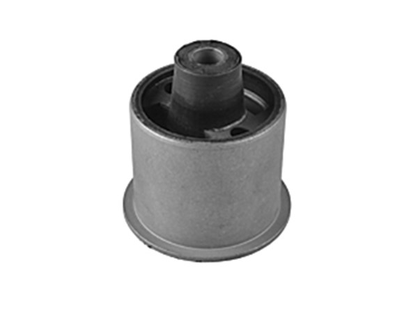 Control Arm Bush 55316-AX600