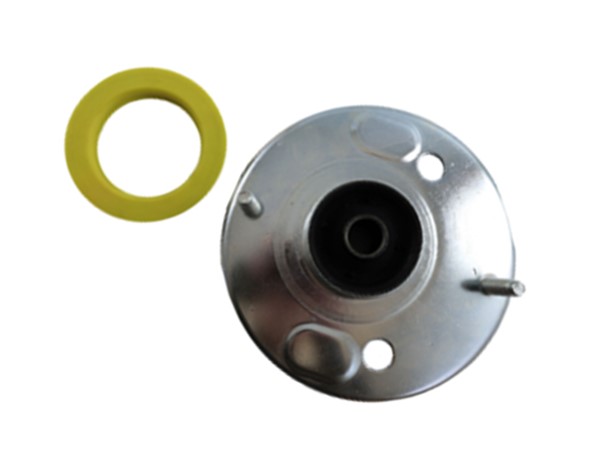 Strut Mount Kit 1387188