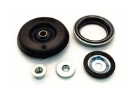 Strut Mounting Kit 5033.F9