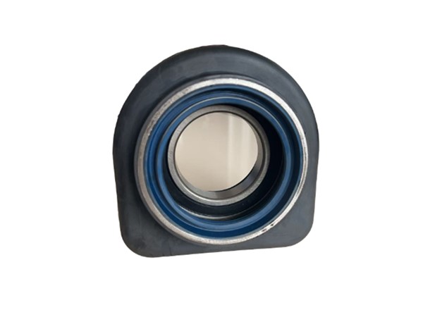 Center Bearing 8171366