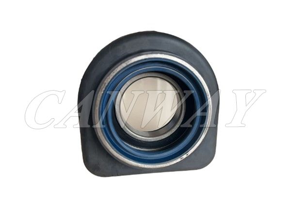 Center Bearing 8171366