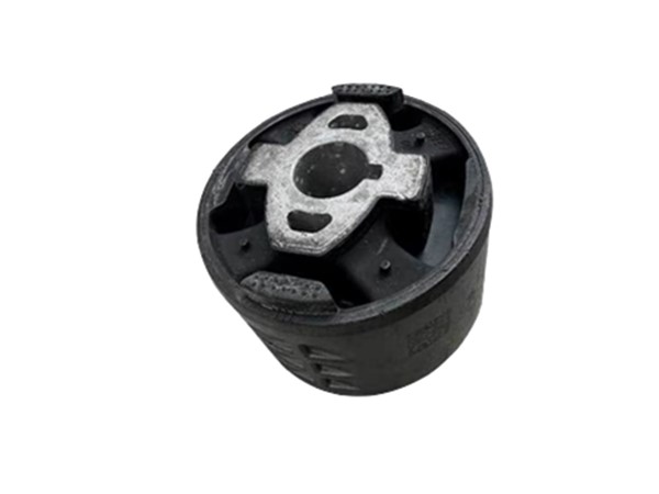 Control Arm Bush 1109296-00-B