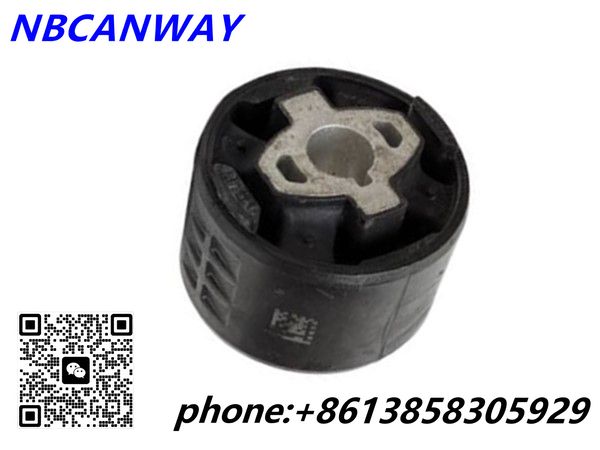 Control Arm Bushing  1109294-00-B
