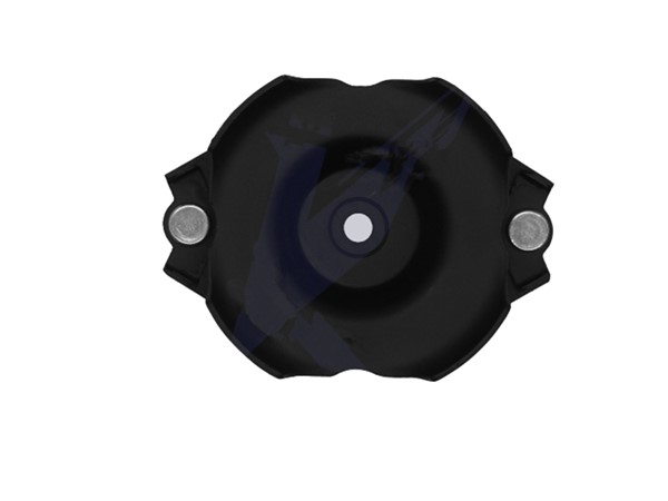Strut Mount 20370-AL000