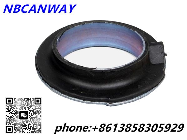 Spring Seal 5031.51