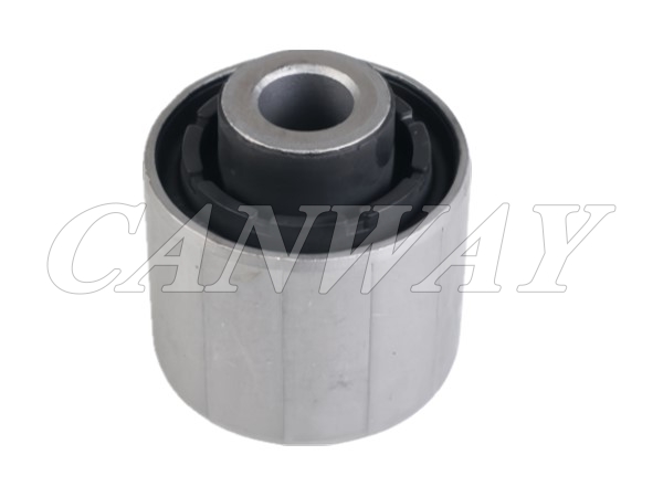 Control Arm Bush 55157-1LB0A