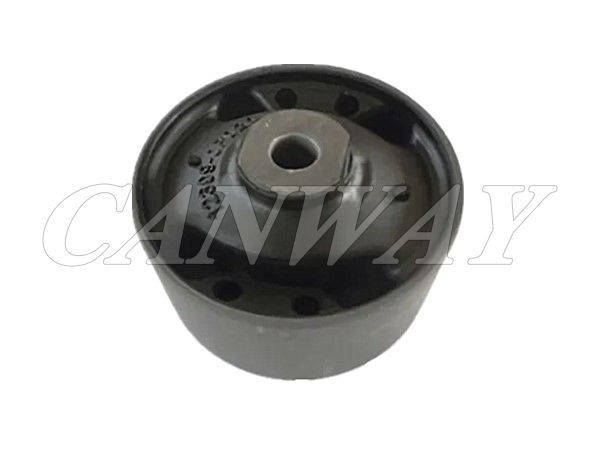 Sleeve Bush 12309-0P020